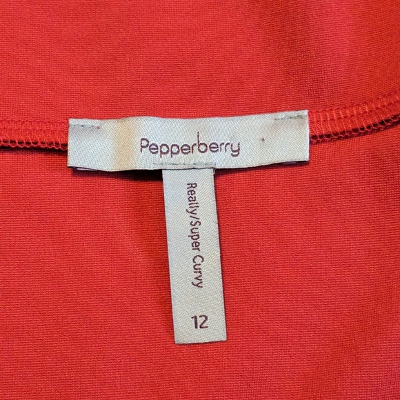 Pepperberry Colorblock Dress - Picture 3 of 3